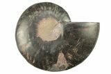 Cut & Polished Ammonite Fossil (Half) - Unusual Black Color #267902-1